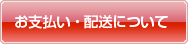 大支払い・配送について