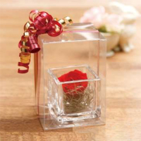 クリスタルボックス／W･V･AXシリーズ