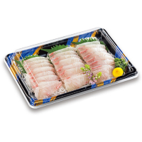 SF箱舟（はこぶね）