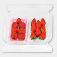 STR-平2個セットパック