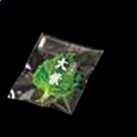 サンボードン 香辛つまもの類･野菜類･果物