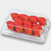 イチゴパック･トレー
