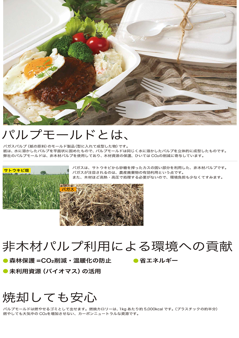 パルプモールとは・・・