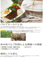パルプモールとは・・・の画像