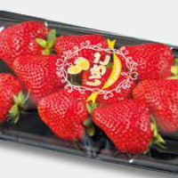 イチゴフィルム