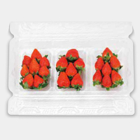 STR-R3個セットパック