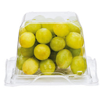 バイオ キューブゲイト