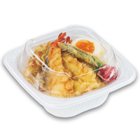 TNランチ丼