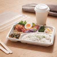 シンギ バガスモールド - 包装資材・食品容器のパックウェブ.ビズ